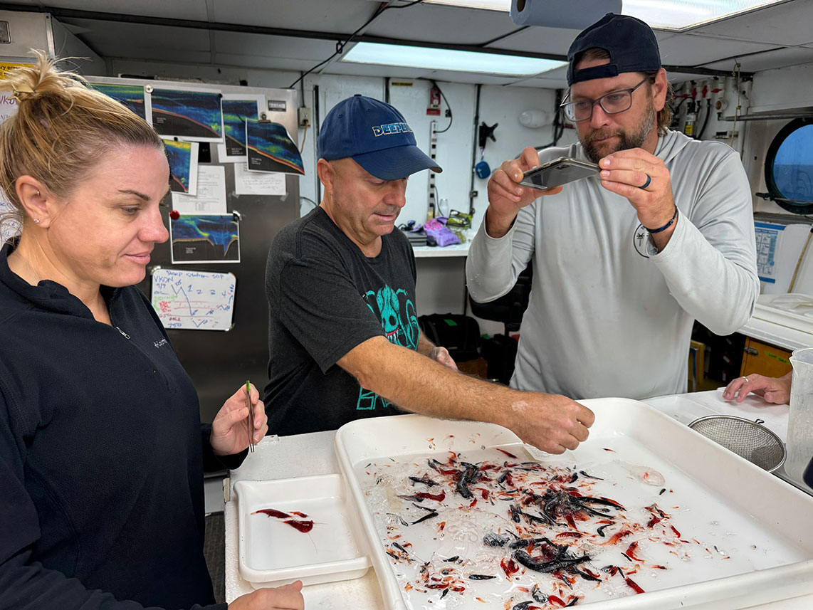Sorting fish in the wet lab