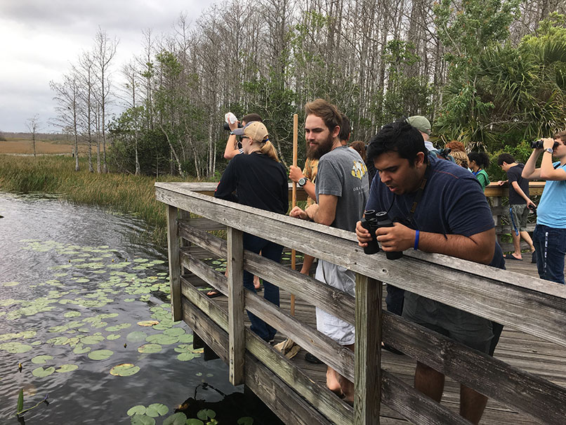 Honors College students on a field trip to Grassy Waters Nature Preserve in Palm Beach County, FL